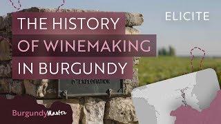 The History Of Winemaking In Burgundy