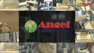Fully Automatic Atta Chakki Plant   Angel Sortech Rajkot CELL  90999 32762