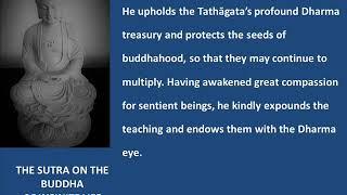 The Sutra on the Buddha of Infinite Life (The Larger Sutra on Amitayus) Part 1.