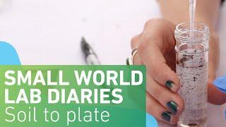 Small World Lab Diaries 1: From soil to plate