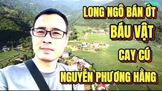 Giáo Sư Long Ngô Lại Cho Băng Dính Báu Vật Ăn Ớt Nguyễn Phương HằngNHI ĐT VLOG 2