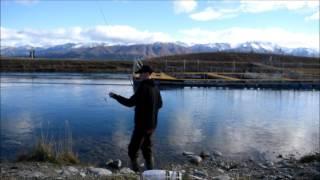 How to soft bait the Twizel Canals with Dylan Booth from FishingForeverFilms