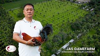 ANG NAPAKAGANDANG JAS GAMEFARM NG KORONADAL CITY