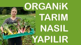 Organik Tarım Nasıl Yapılır Eğitimi Dersleri Bölümü Nedir Çiftlikleri Örnekleri işletmeciliği