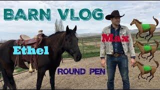 BARN VLOG- Max Works a Tennessee Walker in The Round Pen