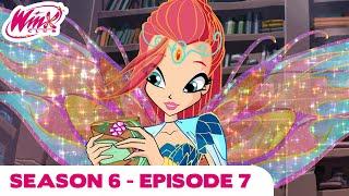 Winx Club - FULL EPISODE | The Lost Library | Season 6 Episode 7