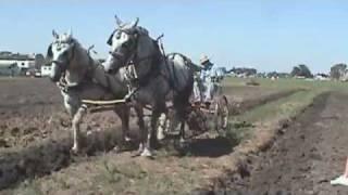 Real Horsepower at the Rantoul antique farm show.