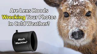 Are Lens Hoods Wrecking Your Photos In Cold Weather?