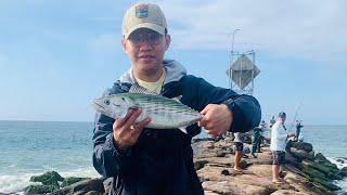 Spanish Mackerel, Bonito Season 2024 in Long Island south shore