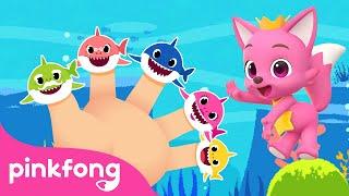  Finger Family Song Compilation | Baby Sharks Everywhere | Pinkfong Official