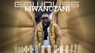 Gowouss - Mwandzani [ Audio officiel ]