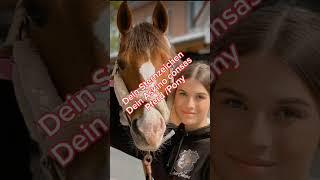 Dein Sternzeichen = dein Askino consas Pferd / Pony  # #love #askino cansas