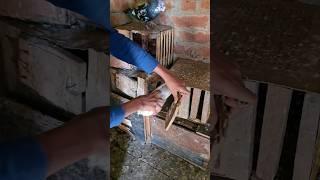 pigeon training video  pigeon viral boy #pigeon #kabutar #birds #trending #shortsfeed #shorts