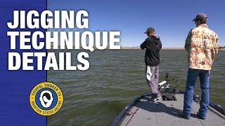 Jigging Technique details (how to fish)