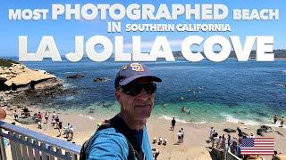 La Jolla Cove San Diego: One Of Southern California's Most Iconic And Photographed Beaches 