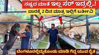 ಇದ್ರಲ್ಲಿ ನಷ್ಟದ ಮಾತೆ ಇಲ್ಲ ಸರ್ | Sheep farming in Karnataka kuri sakanike Kannada bannur yalaga sheep