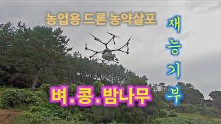 (재능기부)벼, 콩, 밤나무 방제드론 농약살포Donation of talent for spraying pesticides with agricultural control drones