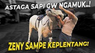 DIAJAK NGABUBURIT NAIK SAPI SAMA DZAKY..!