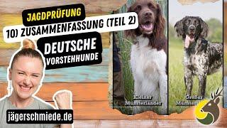 10) Deutsche Vorstehhunde (Teil 2) - Zusammenfasung -  Wissen für deine Jagdprüfung