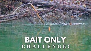 BAIT ONLY STEELHEAD BOBBER DOWN CHALLENGE! - (Winter Steelhead Fishing 2025)