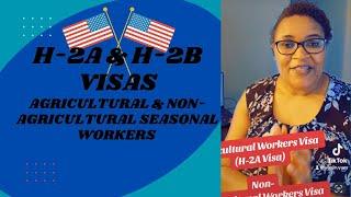 H-2A Visa (Agricultural Workers) H-2B Visa (Non-Agricultural Workers) / #seasonal #jobs #usavisa