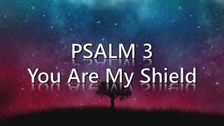 Psalm 3 - You are my shield