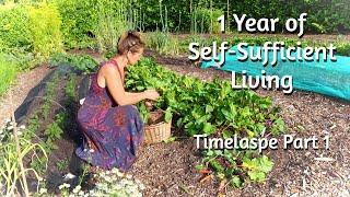 WHAT WE GROW IN A YEAR - Self-Sufficient Living in the UK - 1 Year Timelapse - Part 1/2