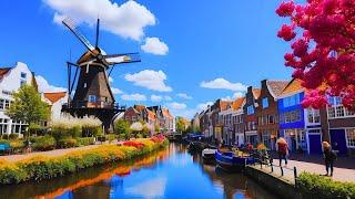  Netherlands' Hidden Gem DISCOVERED!  Rotterdam Walking Tour 