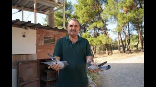 Sivaslı Kuşbaz Rıfat Tokluoğlu'ndan Büyük Çekiliş