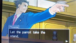 birb bois