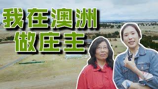 我在澳洲做农场主 ｜ 揭秘你所不知道的农场生活 ｜ 澳洲田园生活｜移民澳洲