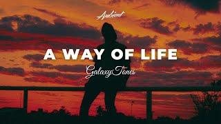 GalaxyTones - A Way of Life [ambient chill downtempo]