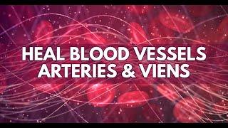 Heal Blood Vessels Arteries and Veins | Improve Blood Circulation In Whole Body | Binaural Beats