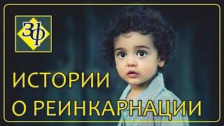 Обычная реинкарнация | Истории наших зрителей