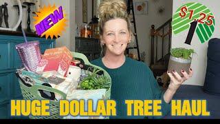 INCREDIBLE Dollar Tree Haul | ALL NEW & NAME BRANDS | More details