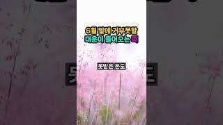 6월 말에 정말 거부못할 대운이 들어오는 띠 호명합니다. 그동안 쌓은 공덕이 복으로 돌아와 생각도 못한 운이 들어올 거에요.