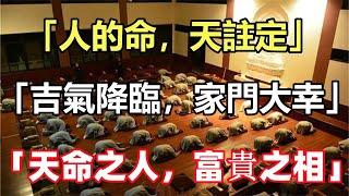 禪意合集：「人的命，天註定」，「吉氣降臨，家門大幸」，「天命之人，富貴之相」