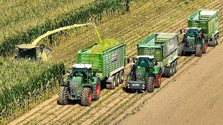 Mais 2024 | Krone BiG X 1180 | Fendt 1050 | 2x Fendt 728 with Krone | Busche Estorf