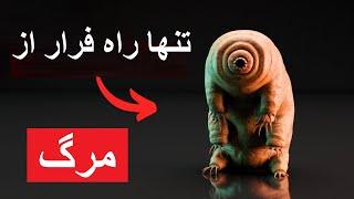 ما بالاخره متوجه شدیم که چرا تاردیگرادها از مردن خودداری می کنند