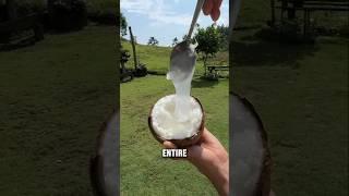 The Most Amazing Coconut In the World