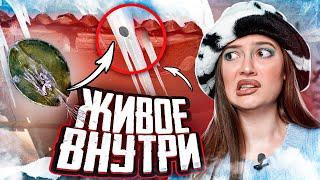 ЖИВЫЕ ОРГАНИЗМЫ ВНУТРИ ОБЫЧНОЙ СОСУЛЬКИ ?!