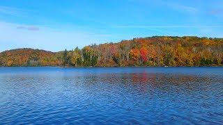 Nature soundscape from Ontario (Relaxing nature sounds)