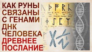 Runes: ABC of DNA