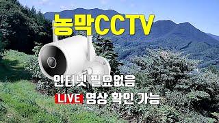 저렴한 가격, 샤오미 N3 CCTV,  통신비 무료, 안쓰는 핸드폰만 있으면 농막, 산장, 야외시설 설치 가능. 월 사용료 없음