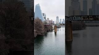 Lady bird lake Austin Texas  #fypシ゚viralシfypシ゚2025 #viralshortvideo2025 #austin #tx #goviral2025