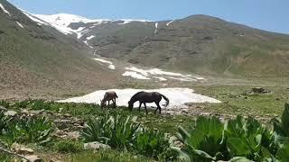 Beautiful Iran - nature