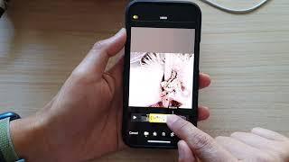 iPhone 13/13 Pro: How to Trim a Video