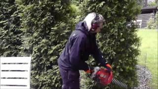 Hedge Trimmer