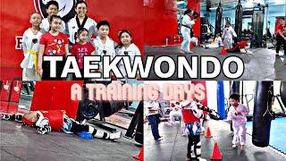 Taekwondo ( A Training Days ) || Stephanie Noppies ||