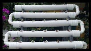 Hydroponics Farming How to Build & Design Hydroponic system At Home 2021